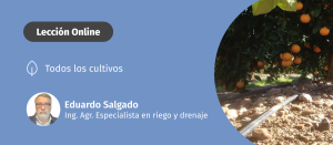 Conoce la importancia de una distribución uniforme del agua en tu sistema de riego y cómo afecta el suministro de agua en tus cultivos.