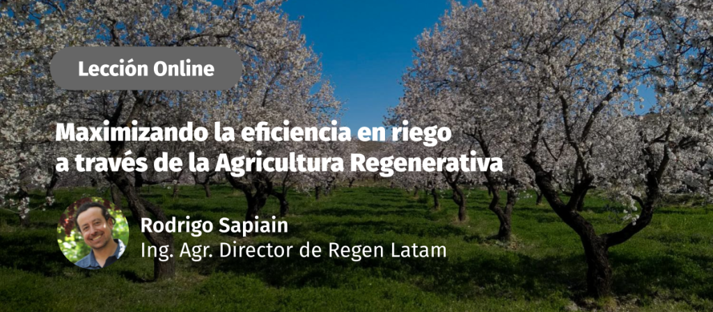 Conoce los beneficios de la agricultura regenerativa para construir sistemas productivos resilientes